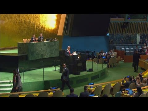 Dozens of delegates from multiple nations walk out during Israeli Prime Minister's speech
