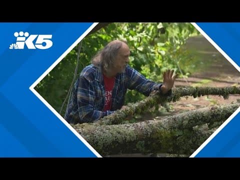 Severe weather hits Seattle area hard