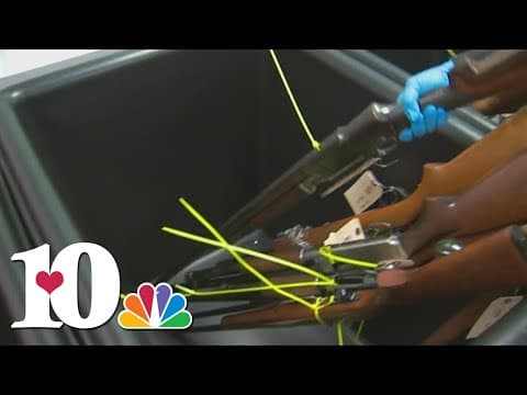 Nashville protesters demand 'Red Flag' laws in Tennessee