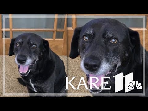 Your Good News: Karen and Tom Alm, Jaicie Mae, Judith Weninger