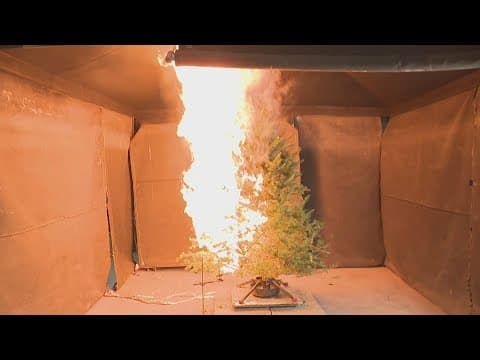 Christmas tree fires can happen in seconds, here's how to prevent them