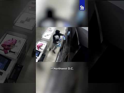 VIDEO: Flash Mob robs Chanel store in DC