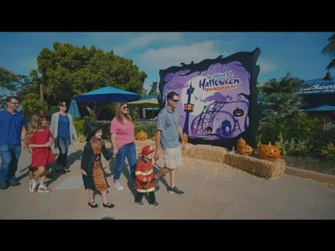 Take a sneak peek at all of SeaWorld's Halloween festivities