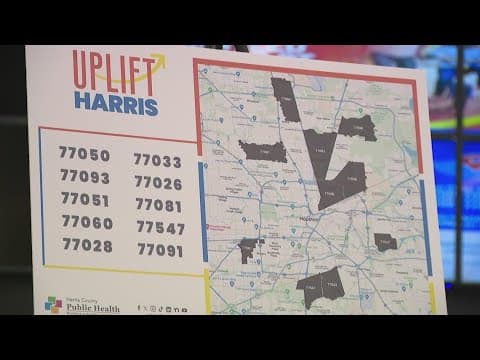 Harris County's guaranteed income program took center stage at hearing in Austin