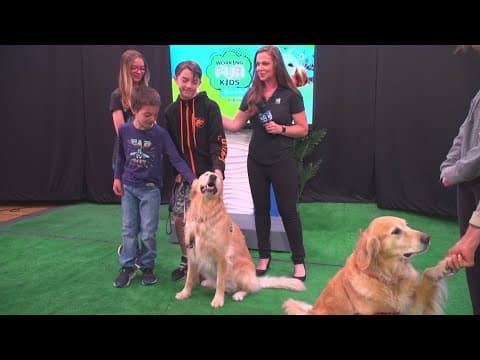 Meet Declan | Helping launch a Resident Canine Therapy Program at Rady Children’s in San Diego