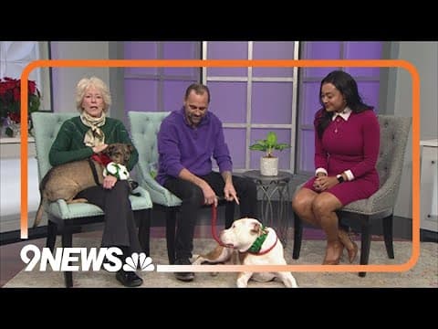 Petline9 | Albert and Duke Ellington