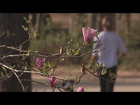 Dr. Kohli talks about a more severe allergy season