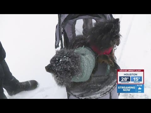 KHOU 11 team coverage: Houston-area residents enjoy the snow day