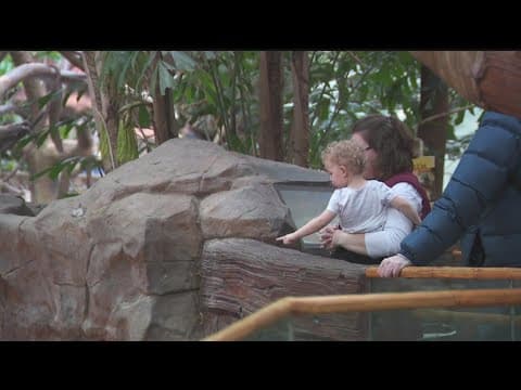 As 'most depressing day of the year' passes, seasonal affective disorder patients await slow recover