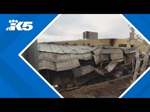 Fire at Viet-Wah Asian Food Market in Renton was caused by firework