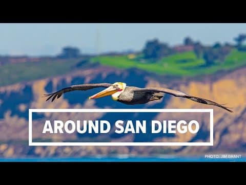 Around San Diego | The biggest stories of the past week (Sept 18)