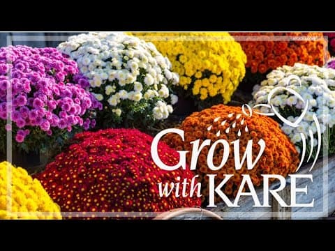 Grow with KARE: Top 3 questions about mums