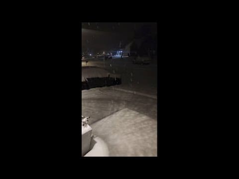 Snowy Accokeek