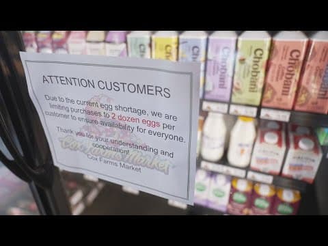 North Texas businesses are feeling the impact of rising egg prices