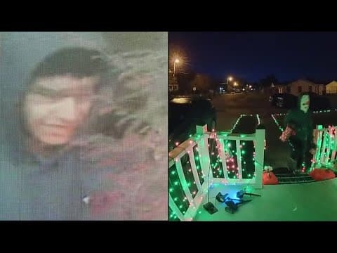 New images of Chalmette 'Grinch' accused of damaging holiday decorations