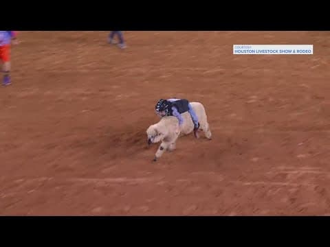 Houston boy shares secret after becoming Sunday's mutton bustin' champ at the rodeo