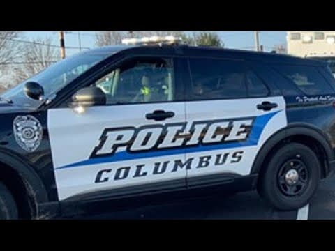 Michigan man, 18, pleads guilty in revenge porn case involving Columbus teenager