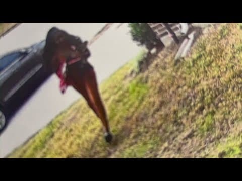 Woman accused of hitting man on bike, attempting to flee state is due back in court