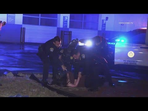 Women tussle with officers investigating South Bay crash