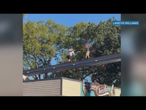 Boy rescued from monorail tracks at Hersheypark
