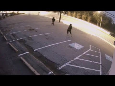 Surveillance video released to public shows two men suspected in sexual assault