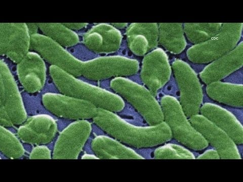 Louisiana Department of Health warns of potentially deadly infection 'Flesh Eating Bacteria'