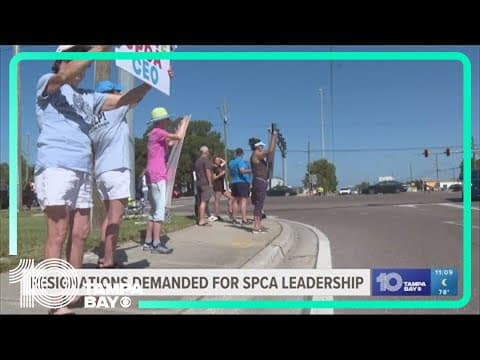 Resignations demanded for SPCA leadership