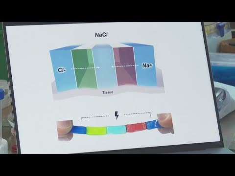 Researchers create 'Jelly Battery' expected to aid with a host of medical issues