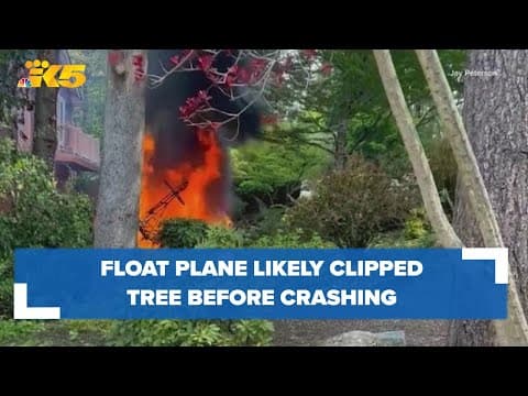 Float plane likely clipped tree before crashing in Lakewood, expert says