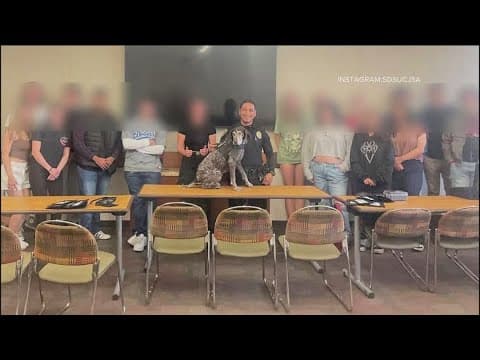 New court docs reveal several pieces of child porn on SDSU sergeant's computer, ID suspect