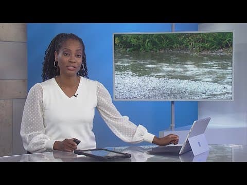 13News Headlines at Noon I August 16, 2024