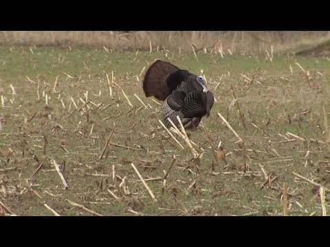 Hunting, fishing and boating are about to get more expensive in Tennessee