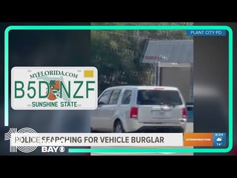 Police searching for car burglar in Plant City