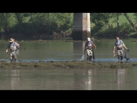 Volunteers gearing up to clean up Clinch River this weekend