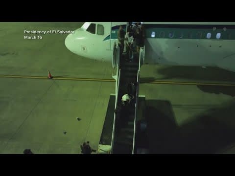 Appeals court to weigh in on Trump deportations: latest updates