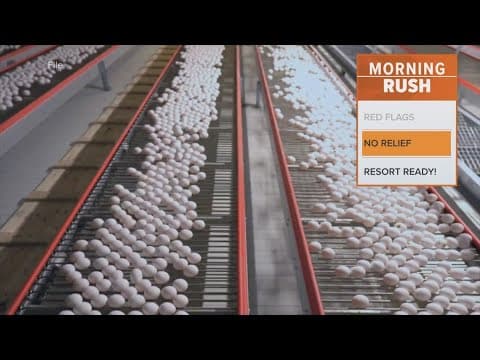 Egg prices are expected to continue rising