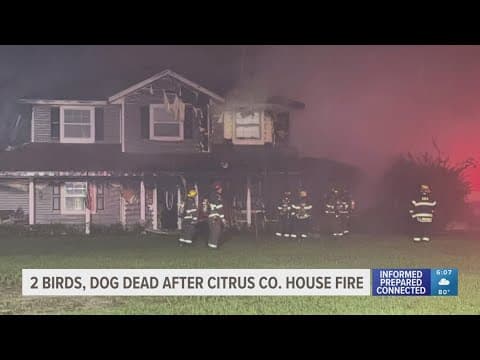 2 birds, 1 dog dead in Citrus County house fire caused by lightning strike