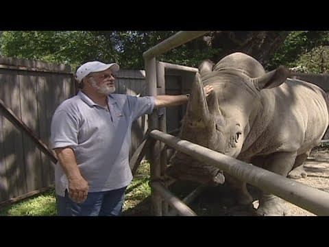WWL Throwback: Rhino scooping
