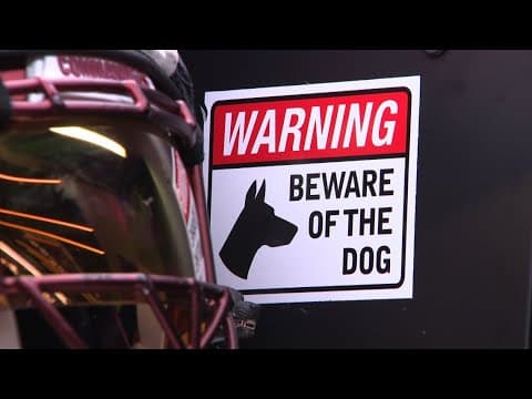 Javon Kinlaw brings physicality and attitude to the Commanders defensive front