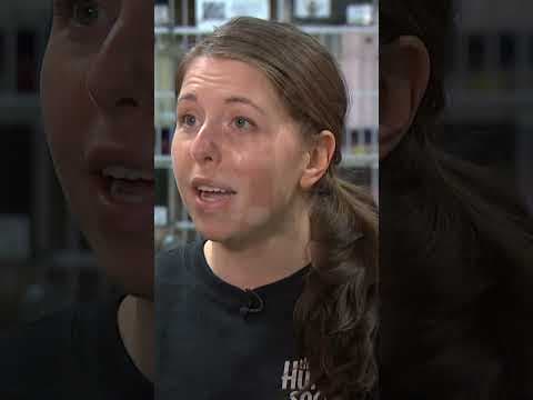 Tacoma Humane Society faces increase in dog surrenders #shorts