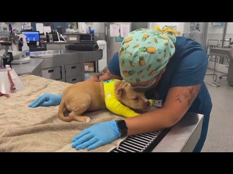 Will donors be as generous this year for Giving Tuesday?