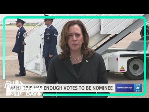 Harris has secured enough Democratic delegate votes to be the party's nominee, committee chair says