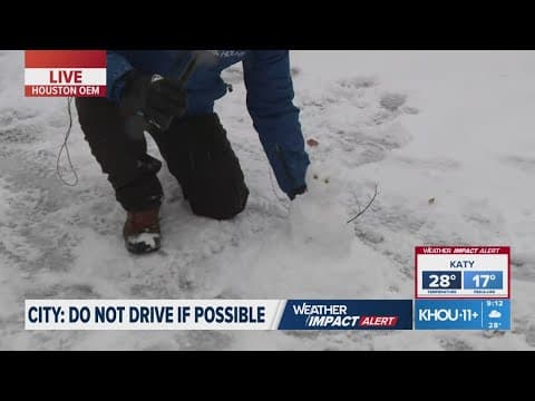 Houston area turns into winter wonderland at storm blankets Southeast Texas in snow