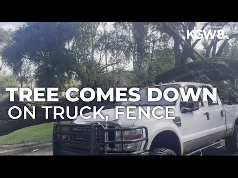 Tree crushes truck in Southeast Portland