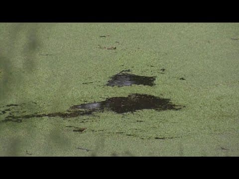 Additional $250M secured to expand South Bay sewage treatment plant