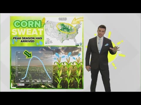 Corn sweat in peak season across Indiana | Extra humidity across the Corn Belt