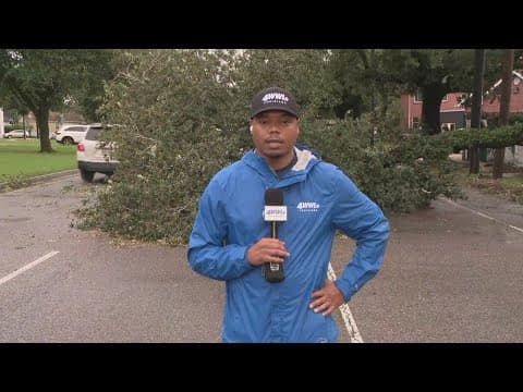 Traffic Alert: Tree down on Versailles Blvd by Claiborne Ave