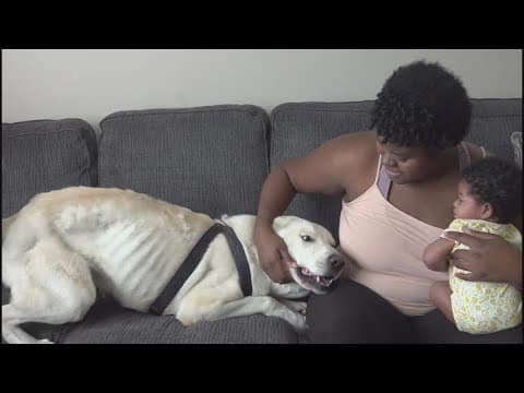 YouTube thumbnail for video WrQAEKtYBNQ