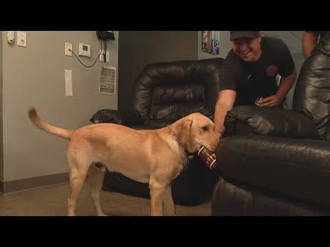 Whitehall fire gets peer support K-9 to help first responders cope with stress