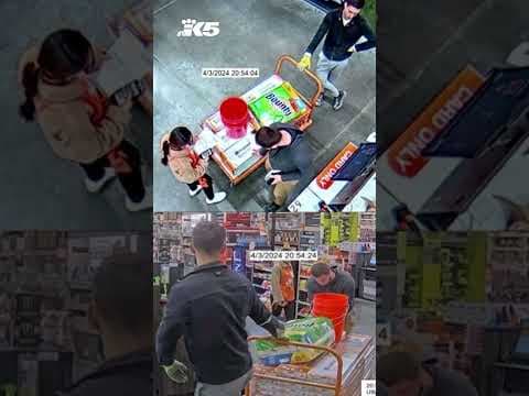 'Double dipping' scheme leads to charges for alleged prolific retail thieves